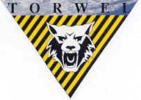 Ace Torwel Industries